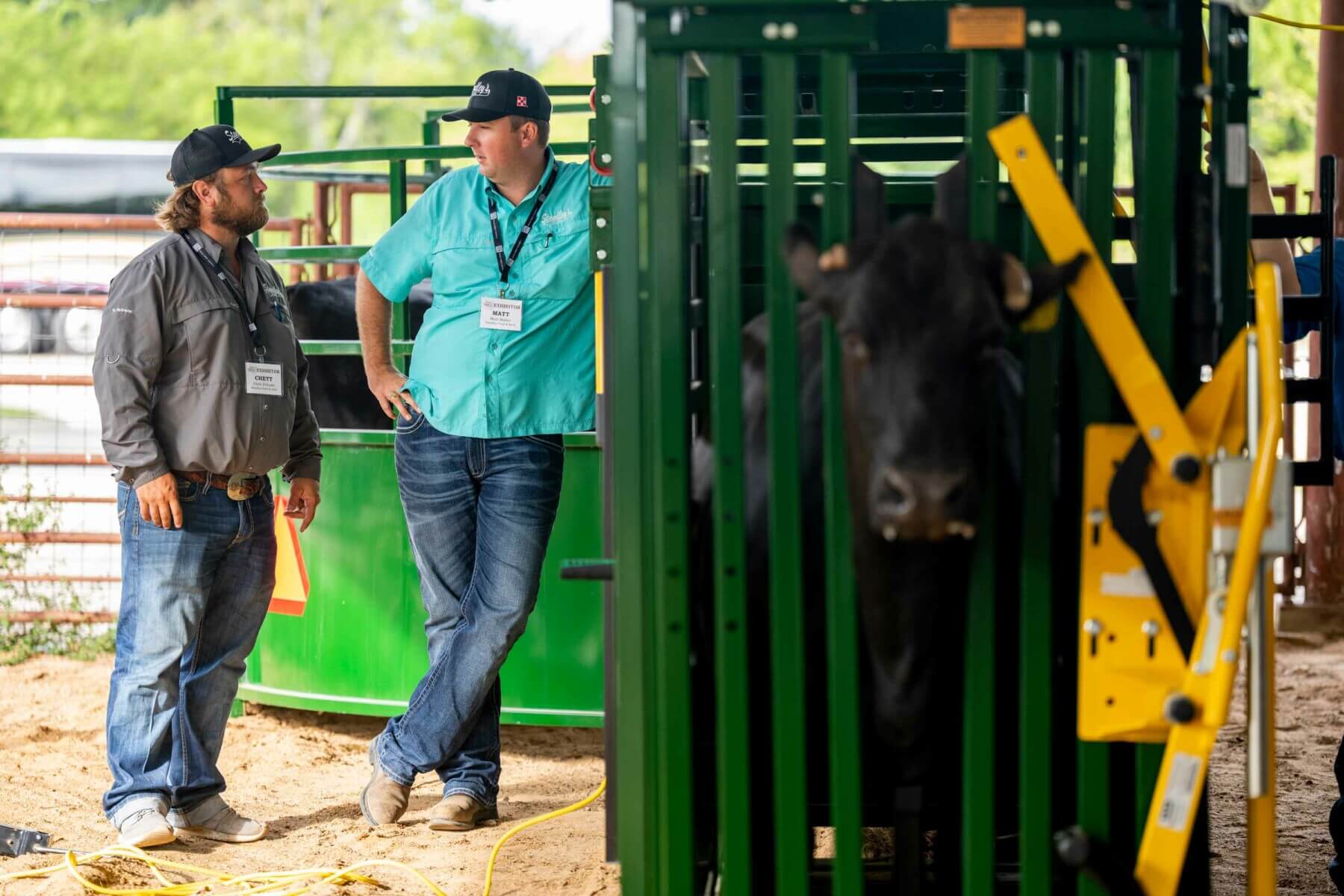 Home Beef Cattle Short Course