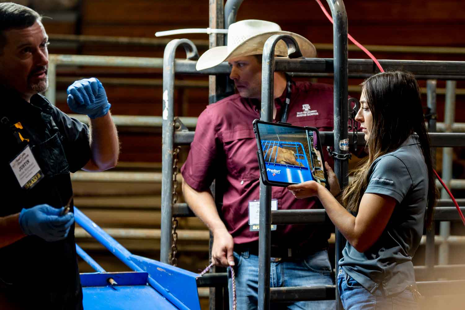 Home Beef Cattle Short Course