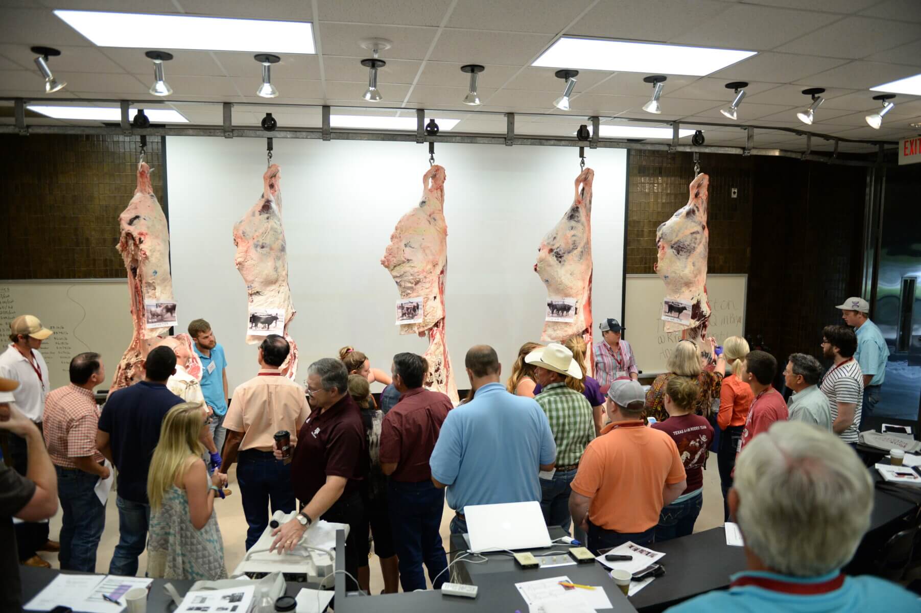 Beef 706 Beef Cattle Short Course Beef 706 Beef Cattle Short Course